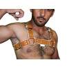 Men Chest Harness 